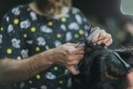 Trim when necessary. (Photo via Unsplash/mostafa meraji)